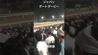 ジャパンダートダービー (JDD) 現地 ゴール前 #shorts #short #競馬 #大井競馬場 ジャパンダートダービー #jdd #ミックファイア #キリンジ #ミトノオー #御神本訓史