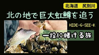 北海道　尻別川で巨大虹鱒を釣る⁈