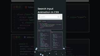Search Input Animation in CSS | HTML & CSS