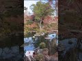 外国人が日本の紅葉を楽しむ in 和歌山県 traveljapan