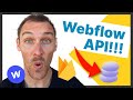 Webflow API Setup