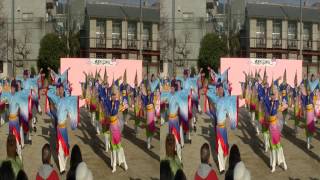 十人十彩～京都さくらよさこい2012（錦林小学校会場）3Ｄ