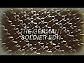 WW2 THE GERMANY 🇩🇪 SOLDIER EDİT