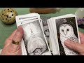 an interview with the wild unknown tarot deck will this deck be useful in my ancestor grimoire