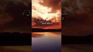 Bardasht Karna Seekh Len 😥_Maulana Tariq Jameel Bayan Status_Tariq Jameel whatsapp Status_#islam