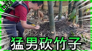 猛男砍竹子！原來竹子是這麼難砍的嗎？【胡子Life】