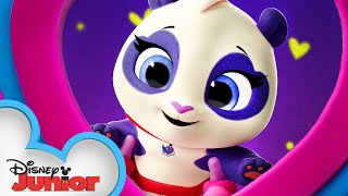 Precious the Panda 🐼| Calling All T.O.T.S. | T.O.T.S. | Disney Junior