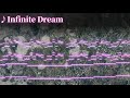 【東方風自作曲】infinite dream