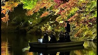 Beautiful! Lighting-up of autumn leaves in fall in Ritsurin Daimyo Garden, 2022