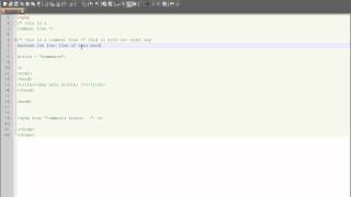 php beginner lesson - comments, part5