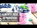 Alimentos que contienen probióticos