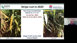 AFREN webinar - NSW / QLD