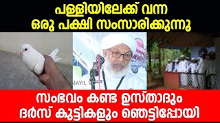 പള്ളിയിലേക്ക് വന്ന ഒരു പക്ഷി സംസാരിക്കുന്നു സംഭവം കണ്ട ഉസ്താദും ദർസ് കുട്ടികളും ഞെട്ടിപ്പോയി..