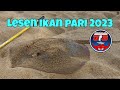 Misi Renew Lesen Ikan Pari 2023