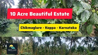 10 Acre Beautiful Estate Sale | Koppa | Chikmaglure | Karnataka