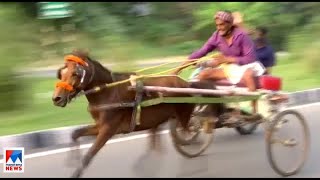 കുതിരയ്ക്ക് ഷോക്ക്, കാളയ്ക്ക് ഇടി; മത്സരയോട്ട പരിശീലനത്തിലെ  ക്രൂരത | Palakkad Horse Ridiing