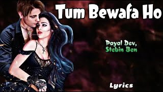 Tum Bewafa Ho Full Song With Lyrics | Payal Dev, Stebin Ben | Kunaal Vermaa,Arjun Bijlani,Nia Sharma