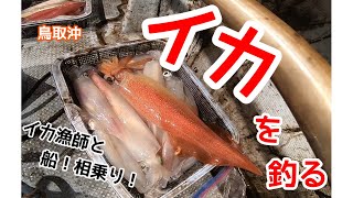 7月の山陰白イカ釣り 鳥取沖で大剣見たい