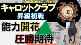 【一口馬主】２勝クラスも圧勝あるか？「ヴェールアップ」