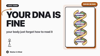 Why you age — and which parts scientists can already slow down