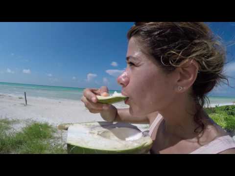 Sun, Sea and Coconuts in Tulum and Holbox - Mexico 2016. Sun, Sea and Coconuts in Tulum and Holbox - Mexico 2016.