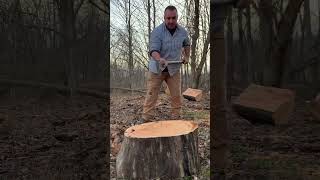 Best splitting axe I have ever used, fiskars: down the middle #37 #splittingfirewood