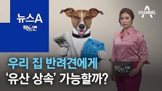 [팩트맨]우리 집 반려견에게 ‘유산 상속’ 가능할까? | 뉴스A