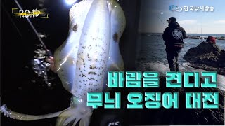 에깅로드-바람에 맞쒀 무늬 오징어 전투를 시작한다