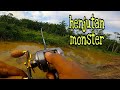 Megatron parit baru cuci_snakehead casting fishing #cqdc #zakipngchannel #saizidaman