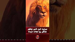 ببینید این شیر چطور جنگل رو نجات میده؟