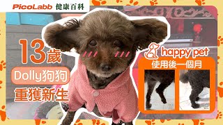 【主寵情深】用愛守護每一步❤️happy pet 讓13歲Dolly狗狗重新站起來｜寵物護理 #真實案例 #狗狗