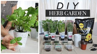 Beginner's Guide To Creating Your Own Indoor Herb Garden (Cheap and Easy!)