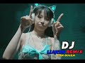 Manyao Nonstop Remix Room Open! (DJ Lian98) 2022! KTV! Chinese song!