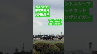 共同通信杯見てきました🐴 #共同通信杯 #東京競馬場