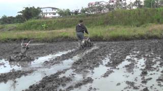 擎億水金鋼\u0026水狐狸 水田鬆土作業3 CY80 Paddy field Cultivator  (tilling \u0026 weeding)