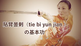 剣の基本編【貼臂曇剣（tie bi yun jian ）】日本語解説 太極拳中国チャンピオン劉一丁@ryu-tube