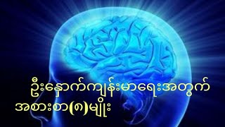 ဦးနှောက်ကျန်းမာရေးအတွက်အစားစာ(၈)မျိုး