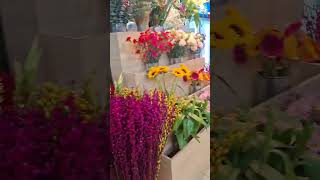 ഈ പൂക്കൾ എല്ലാം ഒർജിനൽ ആണോ? #flowers #flowershop #city #garden #dailyvlog