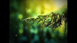 ChillStepLithuania - ChillStep selection #1 2014 HD