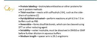 GC11037 Biotin-HPDP