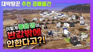 [대박땅꾼] 영종도 미단시티 경매물건! ⛺막힘없는 뷰 + 50% 유찰까지?!💲  /  16년 토지전문가 대박땅꾼