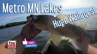 METRO Minnesota Lake Walleyes Holds Big Walleyes | Funk Buster Baits Warbird