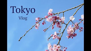 Vlog: A Spring Day in Tachikawa