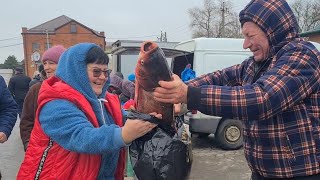 Ейск🌹Рынок выходного дня в станице Старощербиновская. Наши покупки.