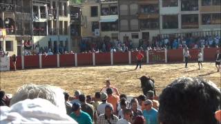 Plaza del Coso, Peñafiel 16-08-2012