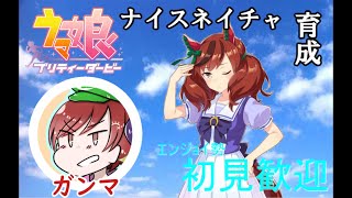 【ウマ娘】栄光はお前にあるぞ！ナイスネイチャ！！【エンジョイ勢】