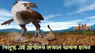 পৃথিবী থেকে বিলুপ্ত হয়ে যাওয়া ৫ টি ভয়ংকর প্রাণী।  এদের সম্পর্কে জানলে অবাক হবেন | 5  extinct animals