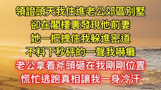 領證頭天我住進老公郊區別墅，卻在閣樓裏發現他前妻，她一把拽住我躲進密道，不料下秒砰的一聲我嚇癱，老公拿着斧頭砸在我剛剛位置，慌忙逃跑真相讓我一身冷汗