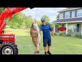 Big Black Drum Catch, Clean, & Cook Like Never Before!