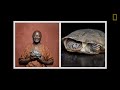 Turtles, Tortoises, and Tapirs: Saving a Species | Tomas Diagne and Patricia Medici